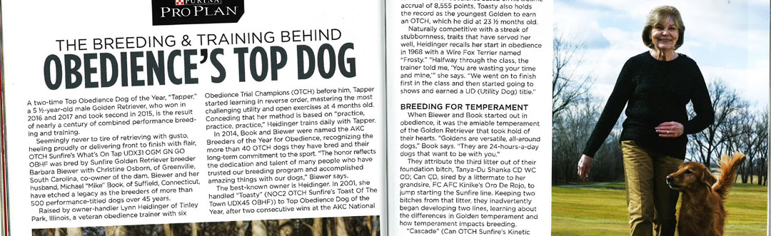 Lynn and Tapper in Golden Retriever News Magazine